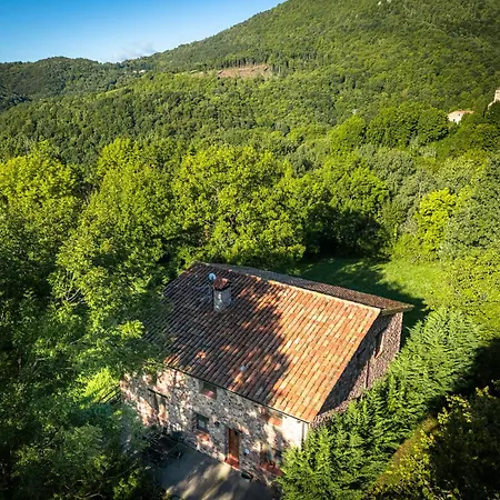 Simonet De Rocabruna